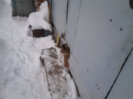 Котская жизнь