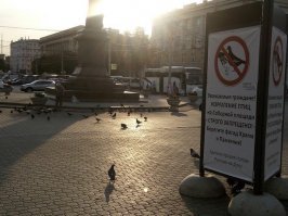 Не знаю, я там постоянно голубей кормлю, знаете ли, успокаивает)))