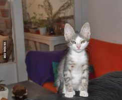 Самые креативные товары с AliExpress на эту секунду