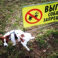 Они не пошли против системы, они её сломали к чёрту!