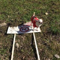 Они не пошли против системы, они её сломали к чёрту!