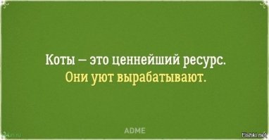 Спас кота от собак