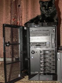 Мой котяра и его Server.