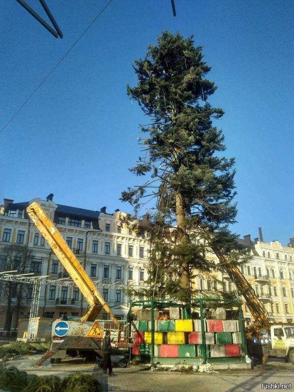 ложь и пропаганда, все европейцы знают, что самая красивая елка в европе находится в самой европейской столице европы