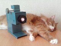 В четвертый раз жена потащила смотреть мелодраму, но на этот раз мне понравилось