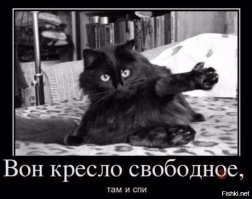 Если кошка любит спать в вашей постели - вот что это значит