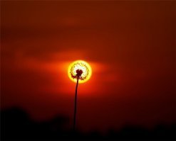 Когда фотограф гений. и без всякого фотошопа!