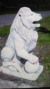 Когда фотограф гений. и без всякого фотошопа!