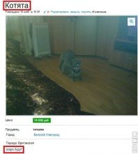 Реклама, которая сводит с ума!