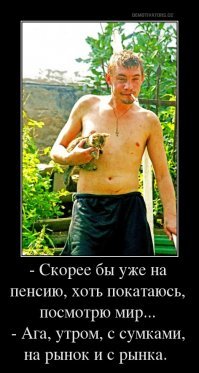 Размеры пенсий в США, Китае, Японии, Европе и России