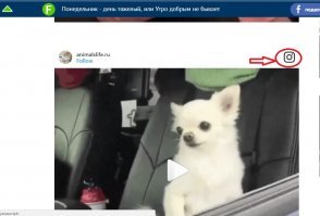 Нажимай на иконку инстаграма, переходишь по ссылке. копируешь ссылку в адресной строке. Кидаешь ссылку друзьям в ВК))