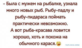 Пакостливая рыба мешает другой рыбе вырыть укрытие