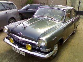 Мои красавицы