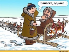 "Большая Одиссея" - самая захватывающая собачья гонка Европы!