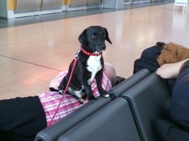 Не помню, может, выкладывала.
Извиняюсь за повтор, ежели что.