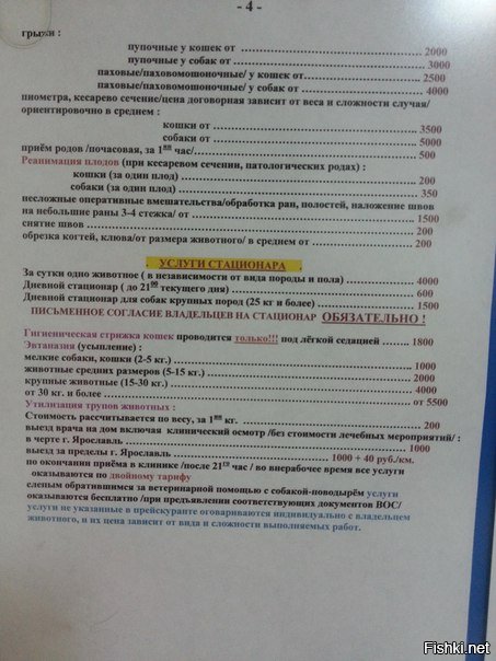 Все вроде хорошо и "айболиты" востребованы, но какие они цены дерут за лечение питомцев это пздц!Сам два раза вылечишься.