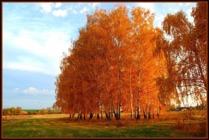 Вот у нас есть паренек Александр Гостюшкин. Работает на скорой фельдшером. В свободное время - охота, рыбалка и фото. Прекрасные труды. Вот профиль  и примеры последних работ.