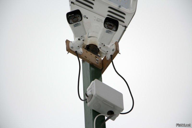 "ДСП лучший крепеж для камер, а дырки в распред. коробке. лучшее средство для вентиляции 
"
Это дренаж. Для слива конденсата. У нас так на лукойловском танкере в первое плаванье выбило высокочастотный передатчик - конденсату слиться некуда, накопился, и на корпус пробило.