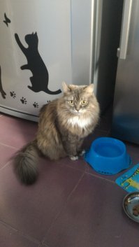Хочется своих показать,)