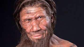 У меня сосед, один- в один, только выбрит(не всегда) и пьян(всегда)