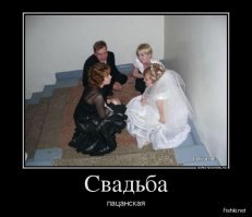 Пожалуй, есть вещи, которые понять невозможно