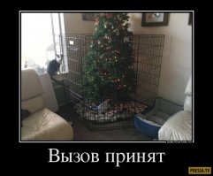 Смешные картинки с подписями!