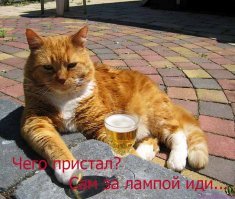 И снова апокалипсис: что обещают нам в 2018 году