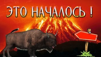 Вместо кота и лампы...