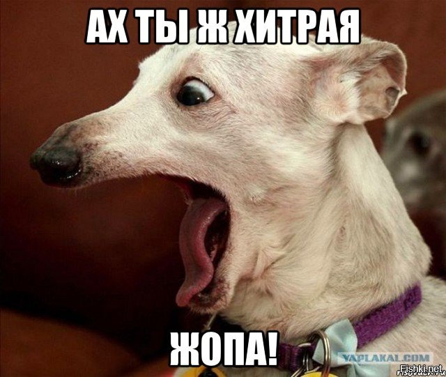 Очередная порция картинок с подписями