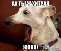 Очередная порция картинок с подписями