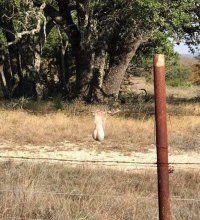 Вот тут нужно быть оочень аккуратным)