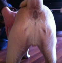 Фотографии, от которых невозможно оторвать взгляд