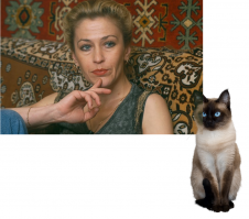 там квон ктот спрятался