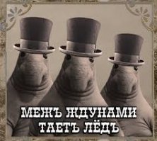 Очередная порция картинок с подписями