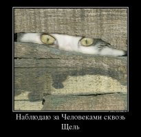 Древняя посадочная площадка кораблей пришельцев в Непале