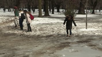 Ой, где это? 
Ой, да это канада?