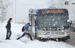 И представляете - всё это Канада, где хайтек и "не то что в наших мытищах"!