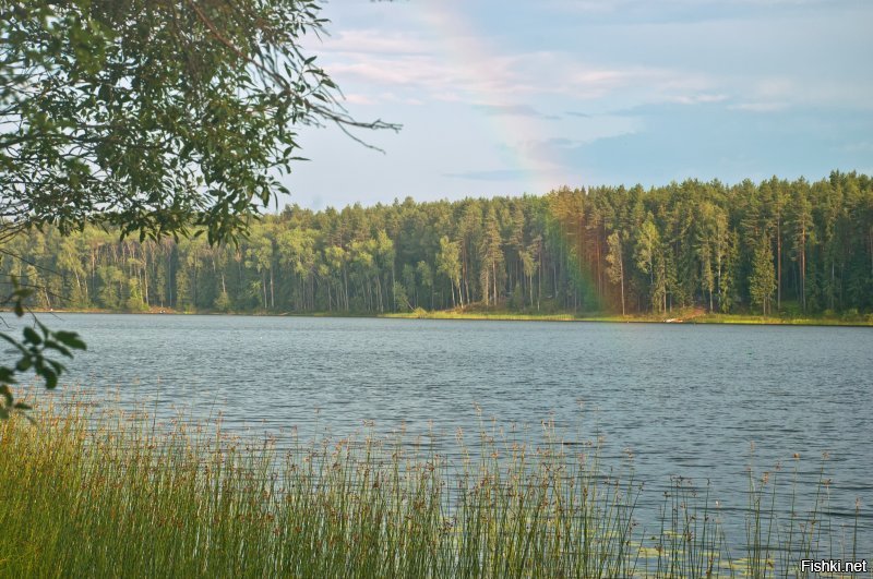 Спасибо Вам автор! Всегда приятно встретить единомышленника! 
Не в смысле, что тоже умею пользоваться фототехникой. А в том, что уже давно и так же как Вы познаю дзен через окно видоискателя. И, остановив на мгновение ход времени, сохраняю на память частичку этого мира, моего с ним взаимодействия и эмоции, которые он дарит даже спустя годы, через затерявшиеся на диске мегабайты. 
Доброй Вам ночи! ...или утра.