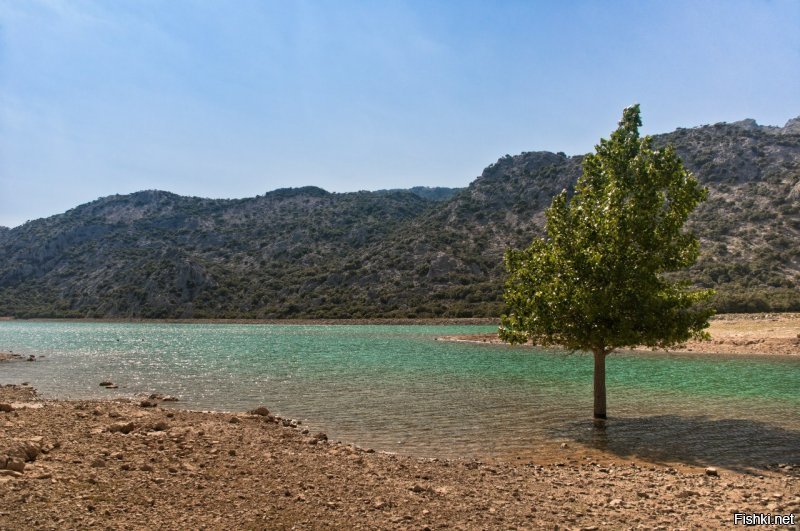 Спасибо Вам автор! Всегда приятно встретить единомышленника! 
Не в смысле, что тоже умею пользоваться фототехникой. А в том, что уже давно и так же как Вы познаю дзен через окно видоискателя. И, остановив на мгновение ход времени, сохраняю на память частичку этого мира, моего с ним взаимодействия и эмоции, которые он дарит даже спустя годы, через затерявшиеся на диске мегабайты. 
Доброй Вам ночи! ...или утра.