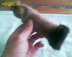 А презервативы утепленные со смехом где