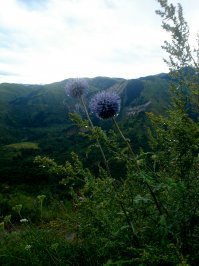 А это мой Алматинский дзен: