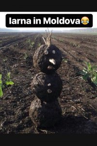 Очередная порция картинок с подписями