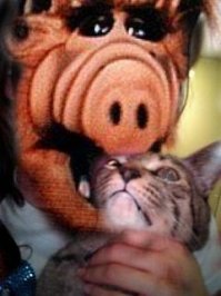 напомнило...