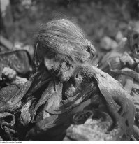 Бомбоубежище Дрездена откопанное в 1946 году.
Это результат бомбардировок Королевскими военно-воздушными силами Великобритании и Военно-воздушными силами США 13 15 февраля 1945 г.