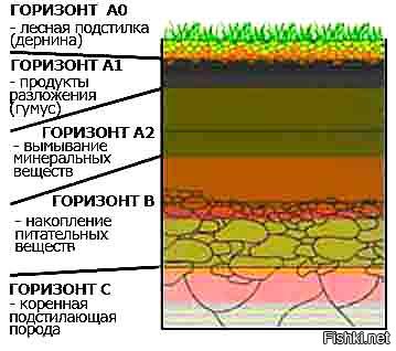 Название горизонтов. Горизонты почвы. Почвенные горизонты и их обозначения. Последовательность слоев почвы. Обозначение почвенных горизонтов.