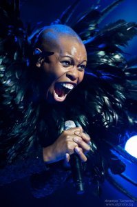 Фото-ассорти