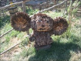 Мужчина собирал шишки, а соседи над ним смеялись