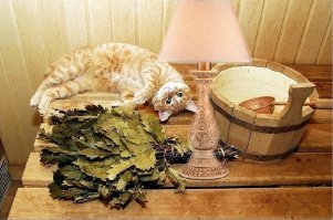 Баня. По рассказам деда Савелия