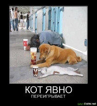 Хамура Кусаки