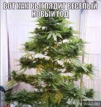 Подборка креативных новогодних ёлок, сделанных своими руками